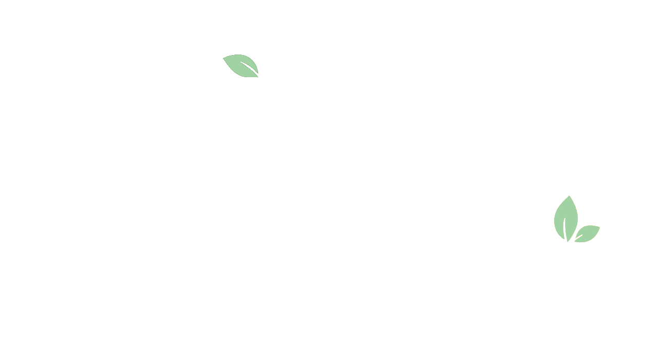 江南枝 JIANGNANZHI